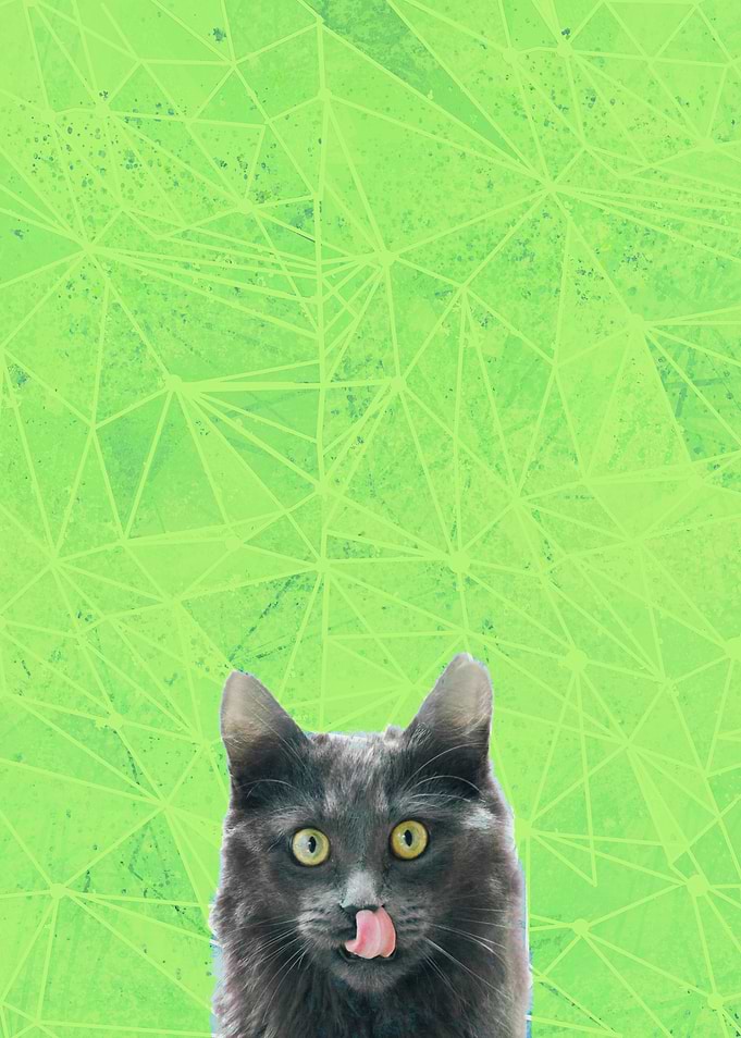 Misty on Green