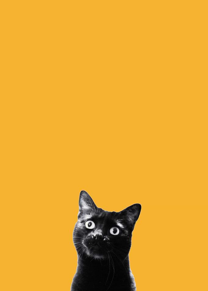 What's up?
