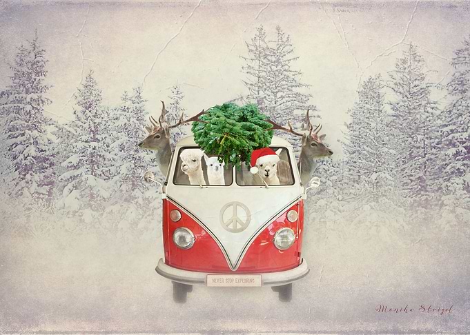 NEVER STOP EXPLORING DRIVING HOME FOR CHRISTMAS