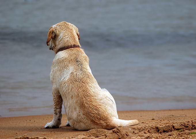 Taking a Timeout