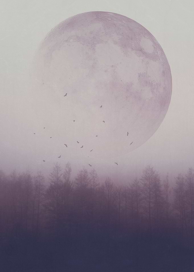 cherish your illusions