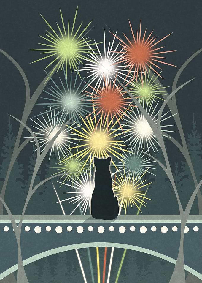 Fireworks