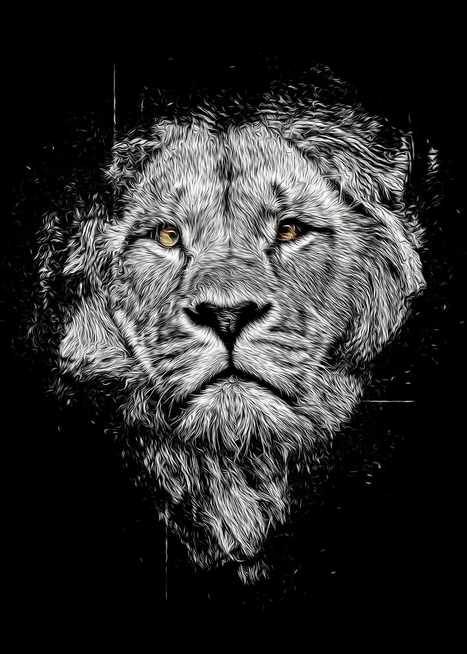 Lion King