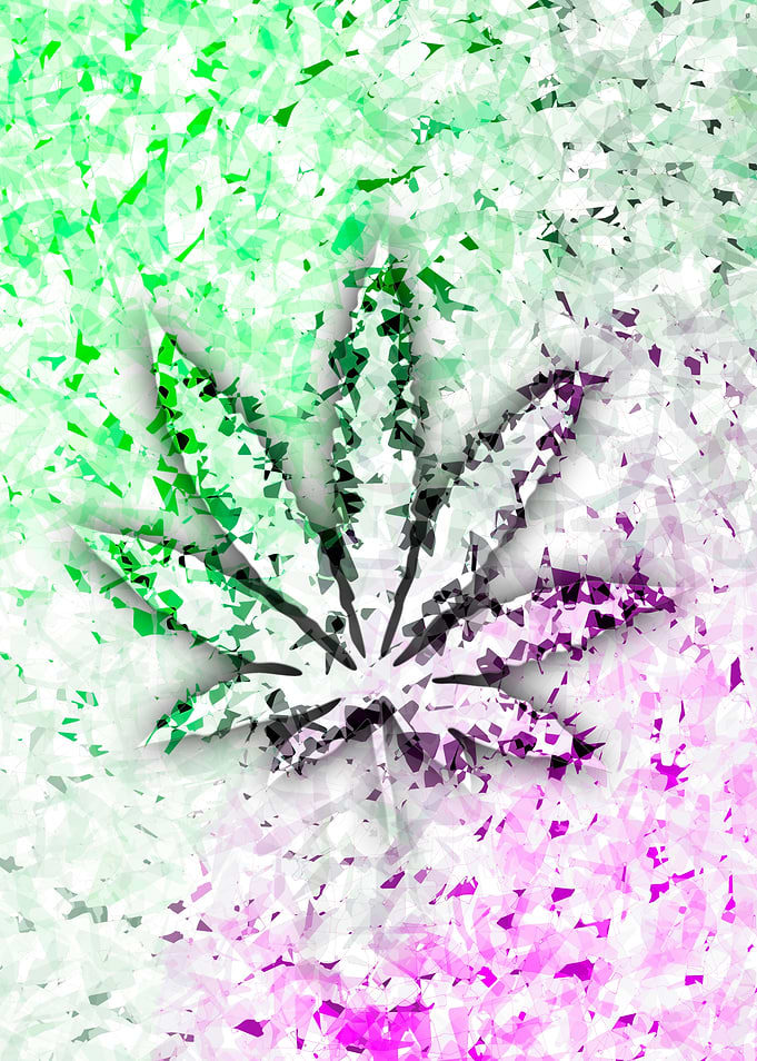 Cannabis illustration