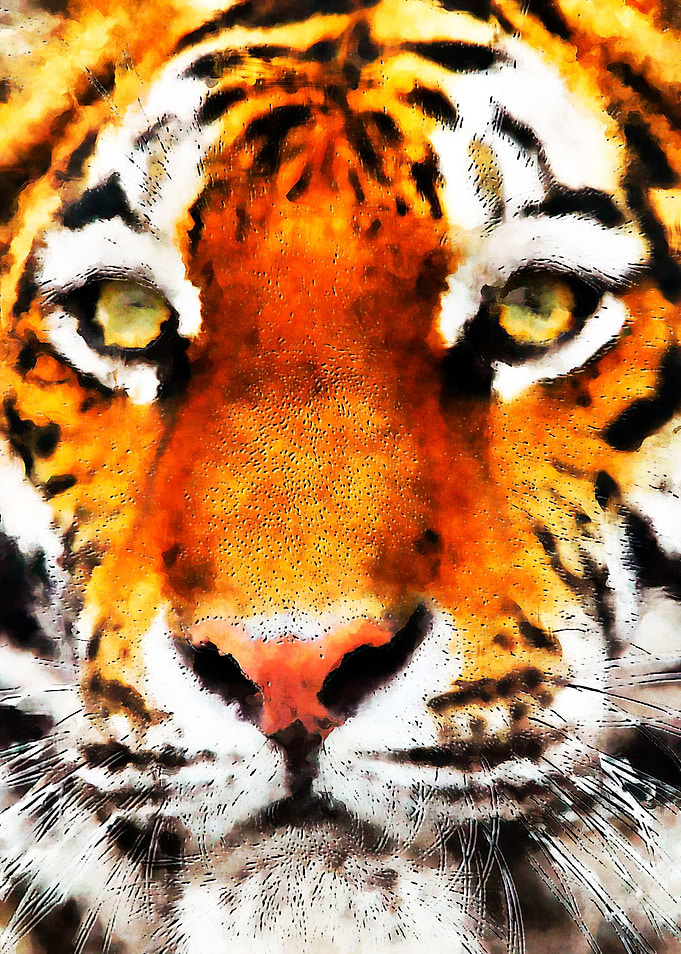 Tiger painting