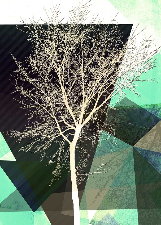 LONELY TREE v1