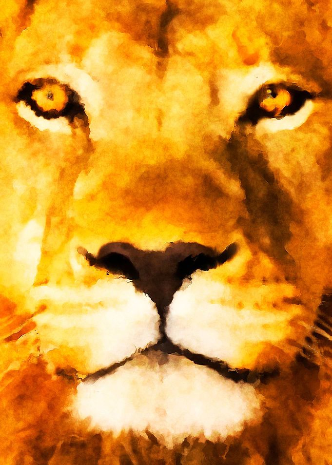 Lion painting