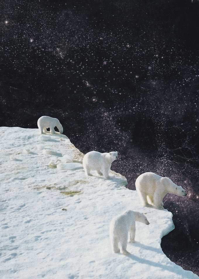 Flat Earth [collage]