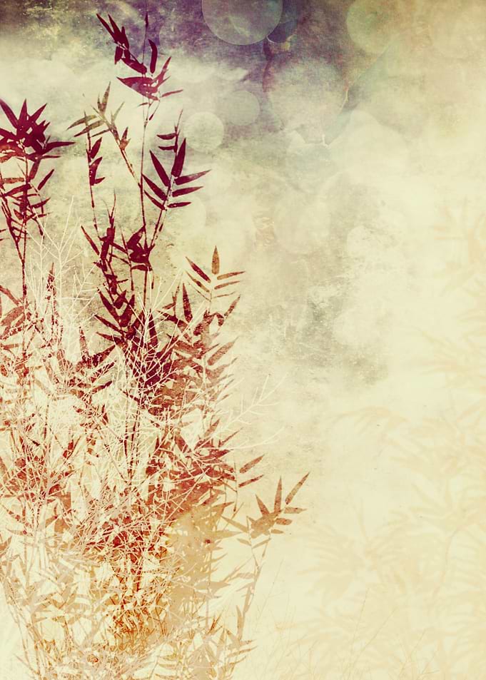 BAMBOO PART I