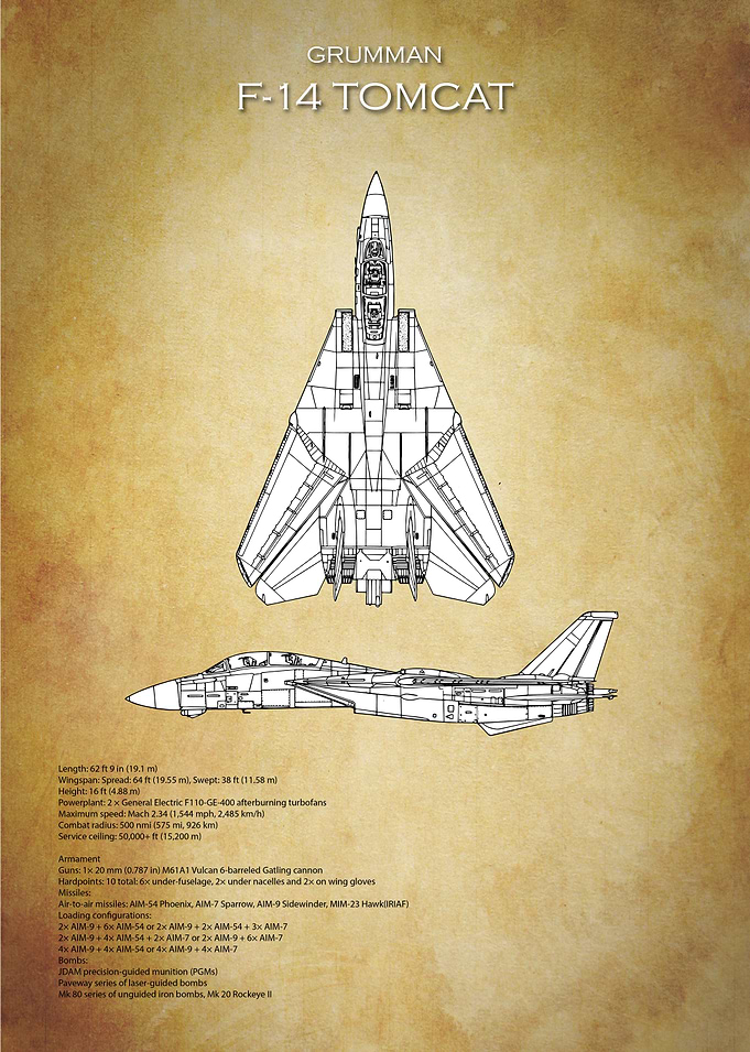Grumman F-14 Tomcat Blueprint
