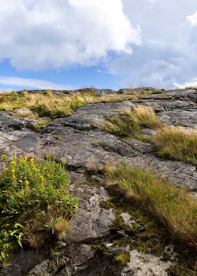 Cliffs