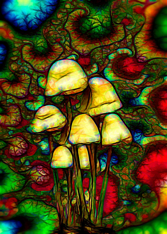 Magic psychedelic mushrooms