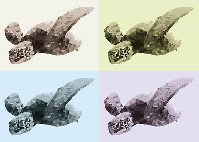 Four Polygon Turtles