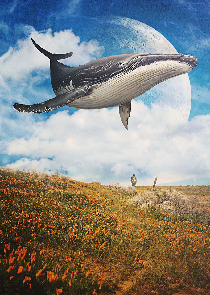 Field Of The Giant
