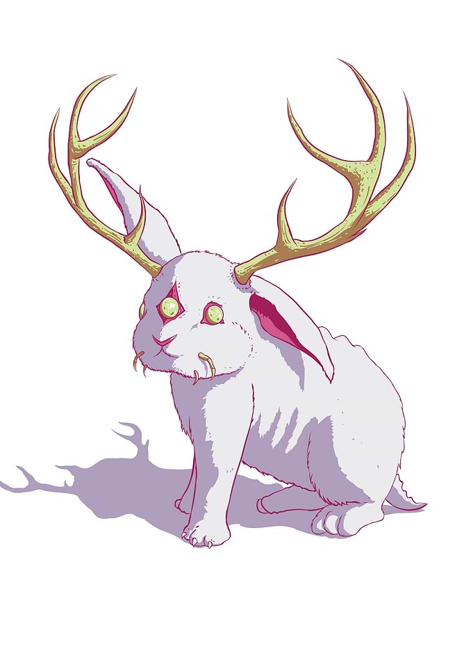 Eyes of the forest