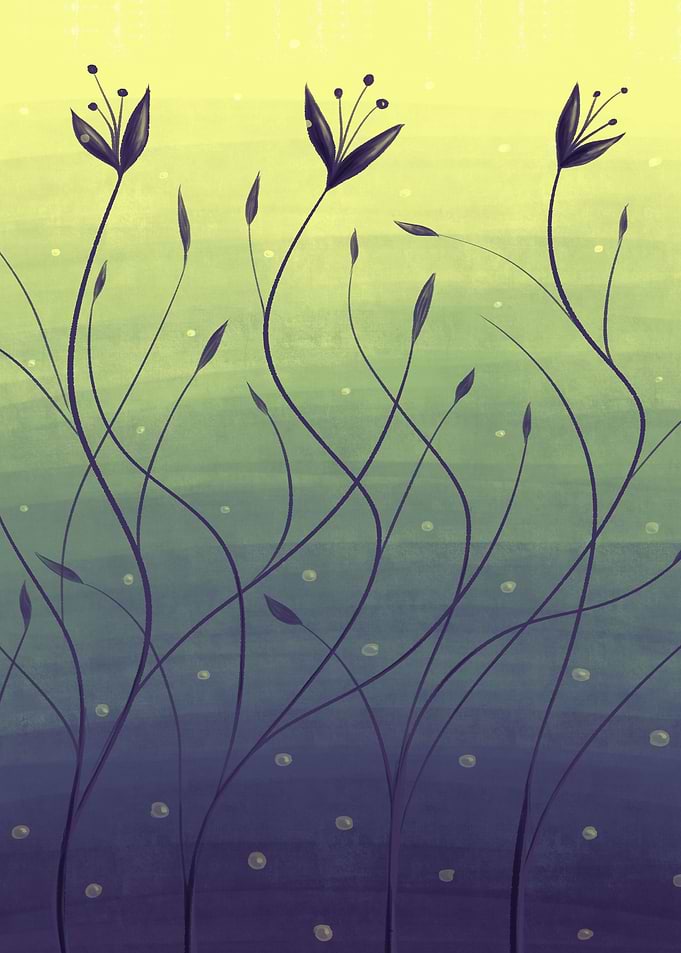 Algae Plants In Green Water