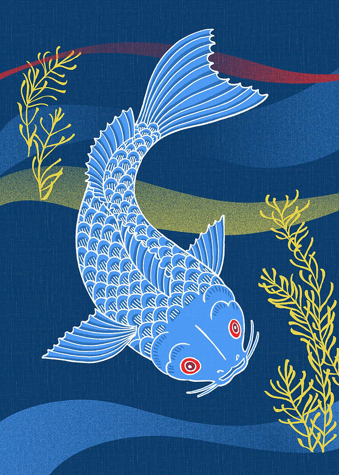 Koi