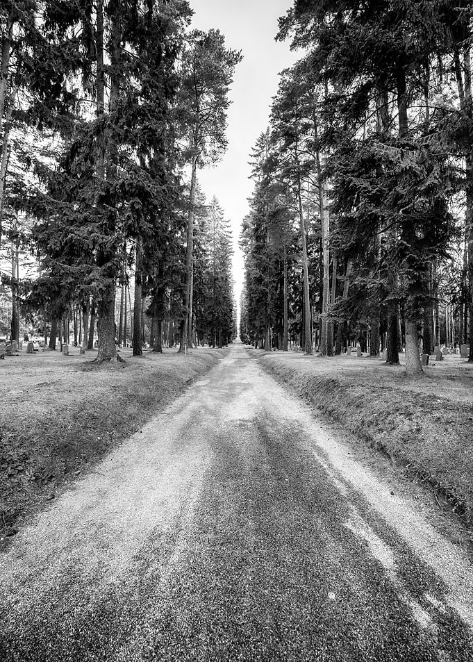 The way forward