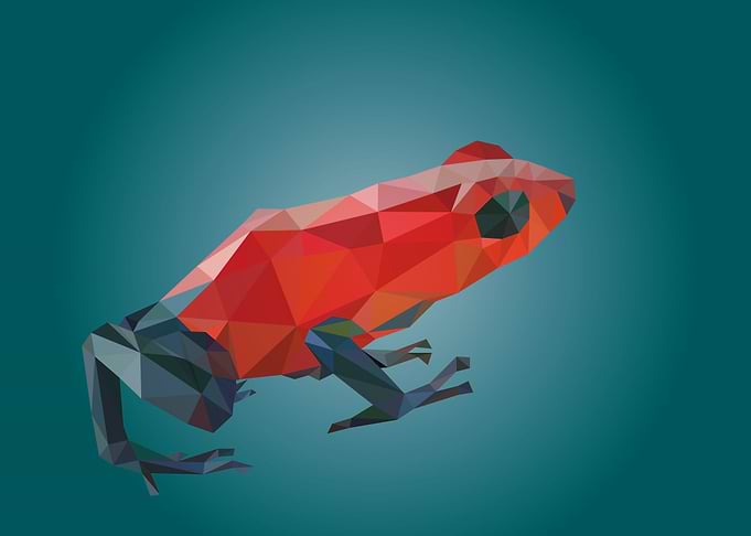 Polygon Frog