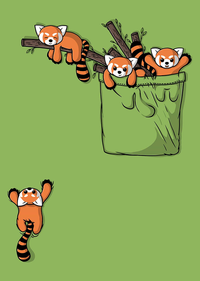 Pocket Red Pandas