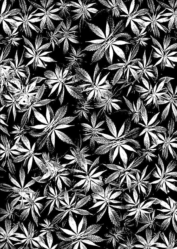 Marihuana v2.0