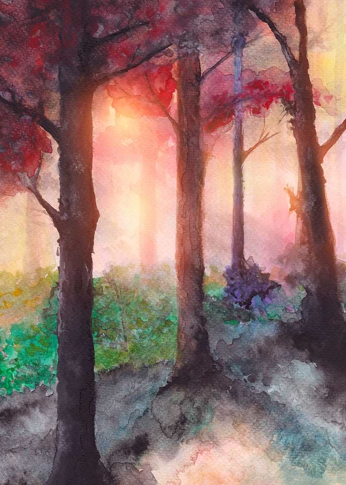 Into The Forest VII