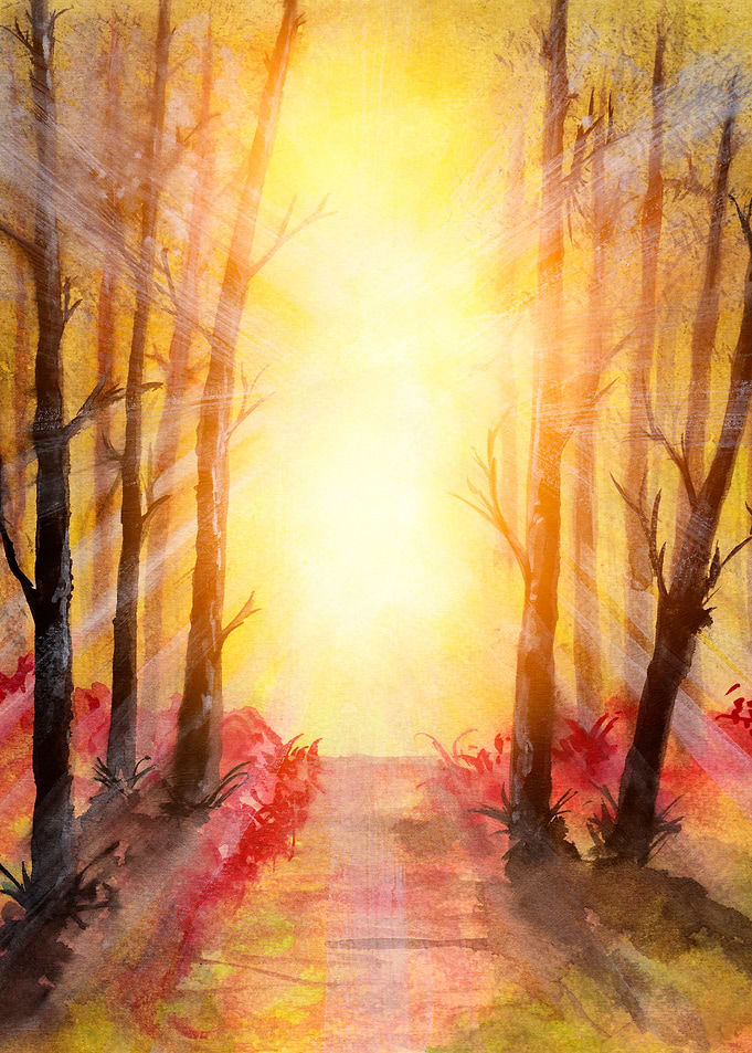Into The Forest V