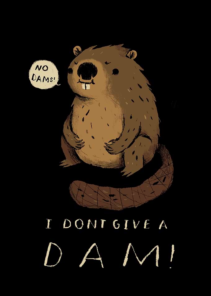 i dont give a dam!