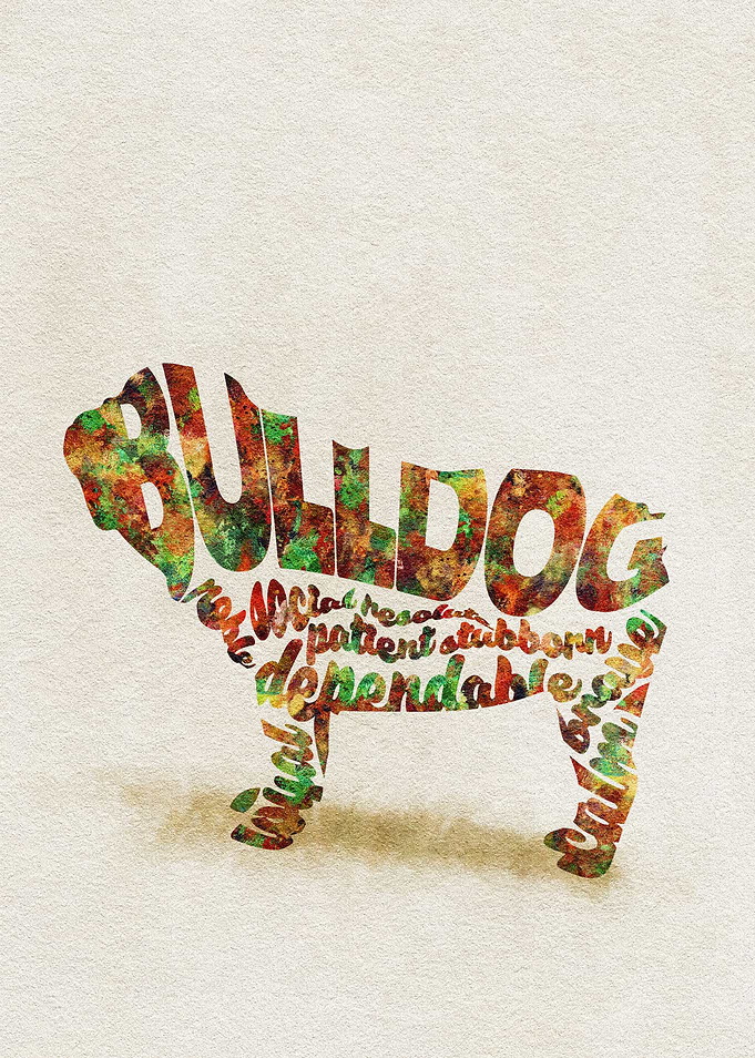 British Bulldog Typo
