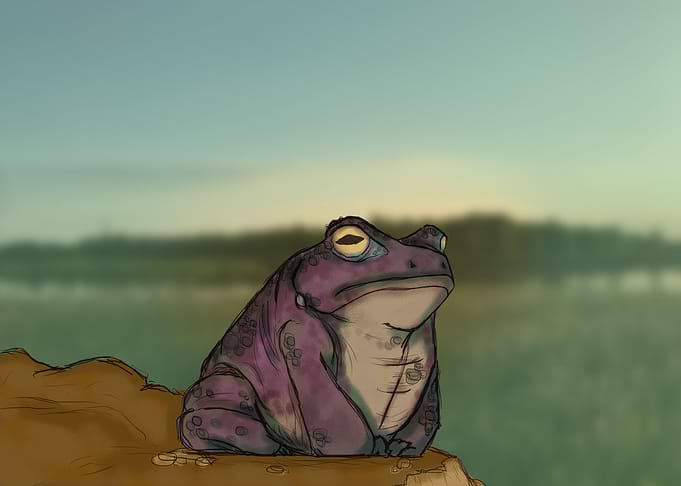 The Grumpy Frog