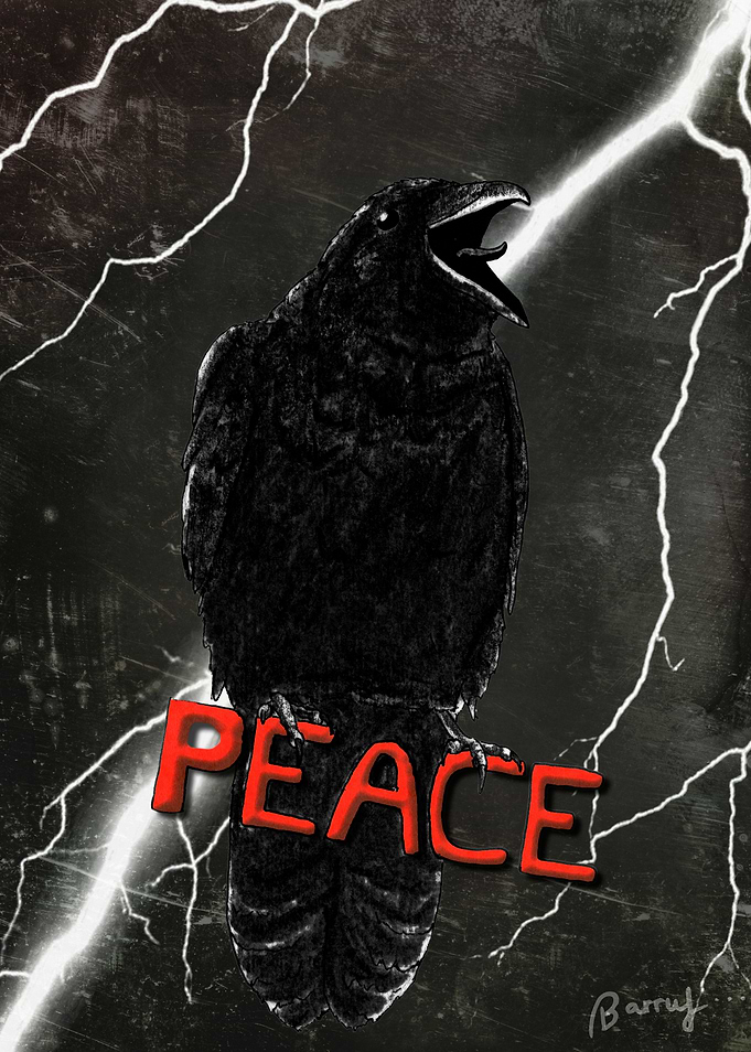Crow For Peace