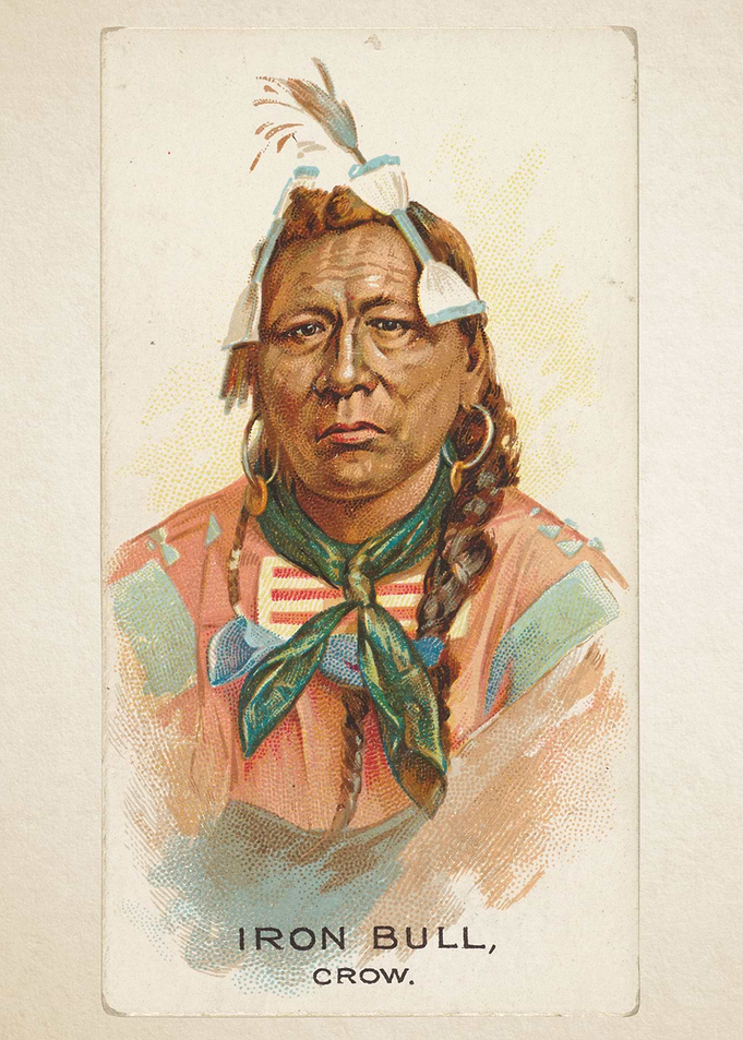 Iron Bull, Crow