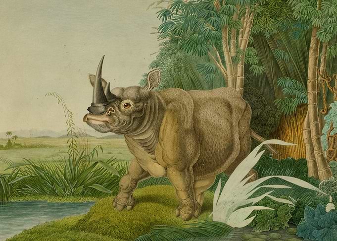 Illustration by Aloys Zoltl