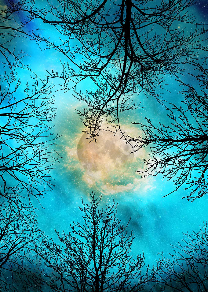 Evening, Bare Trees, The M