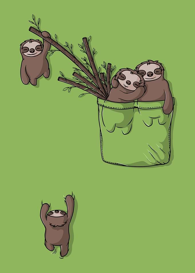 Pocket Sloths