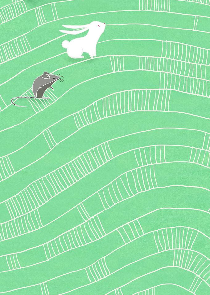 Rabbit and mouse