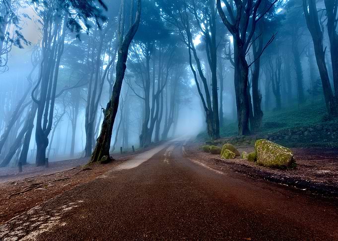 The road of kings