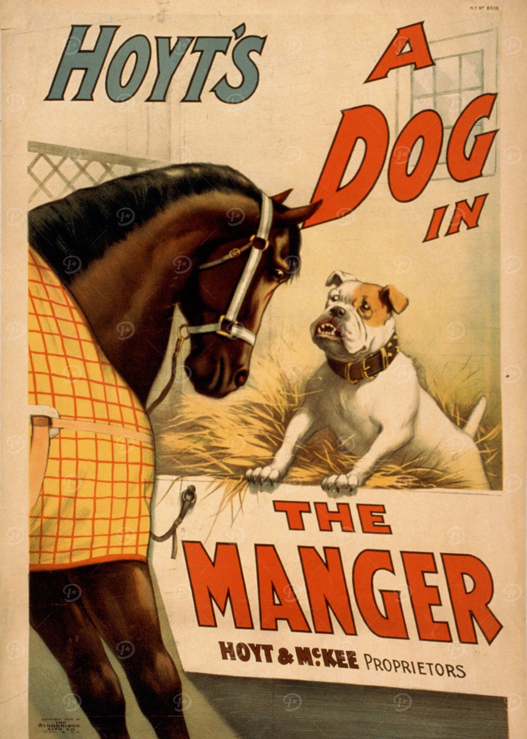 Vintage Animals Poster