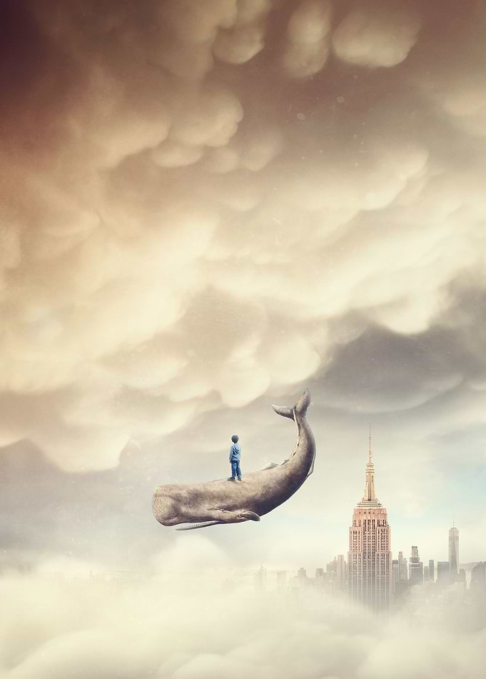Boy and the flying whale I