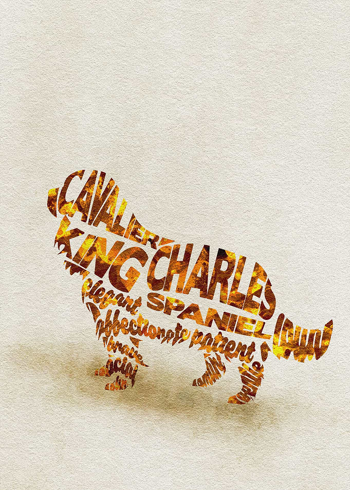 King Charles Typography