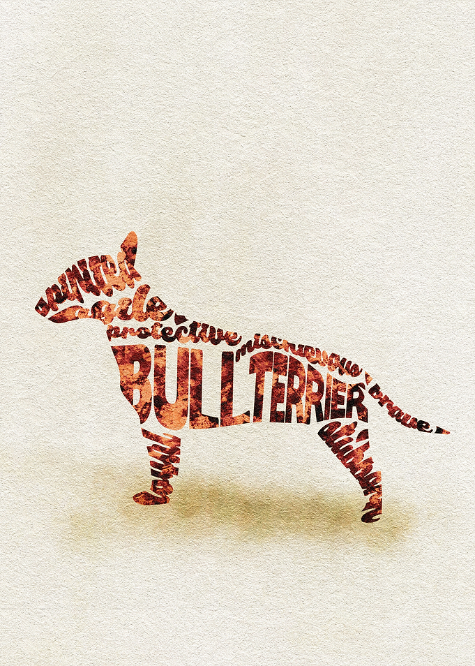 Bull Terrier Dog Typo