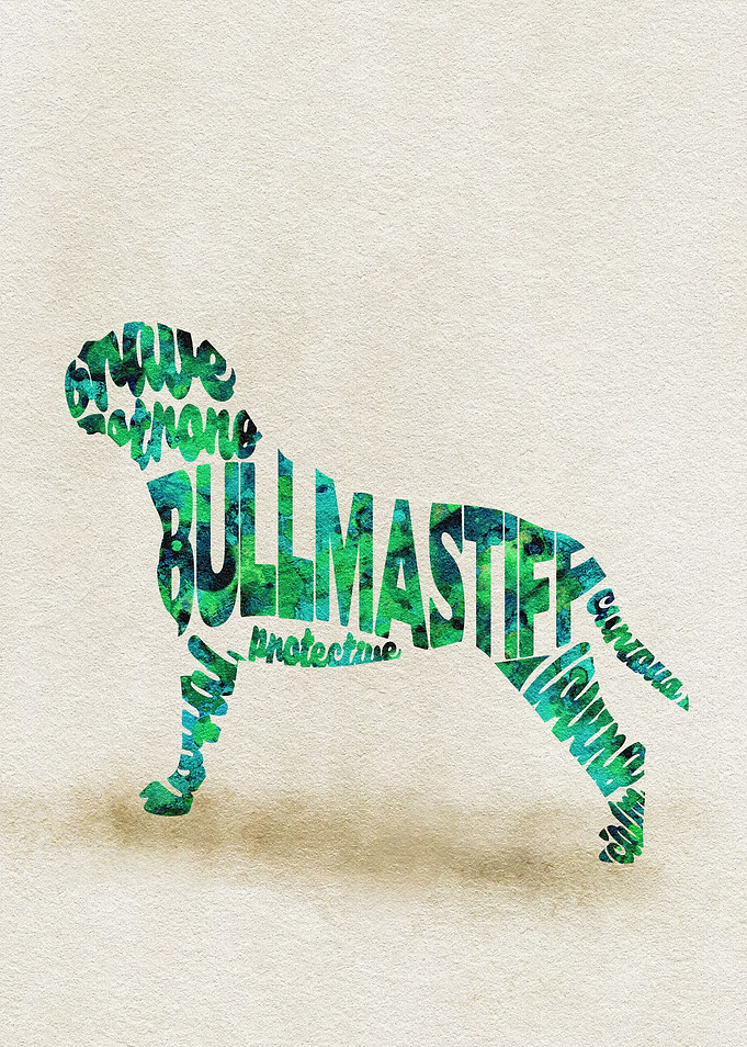 Bull Mastiff Dog Typo