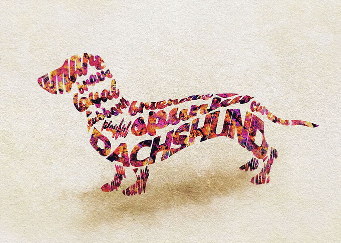 Dachshund Dog Typography