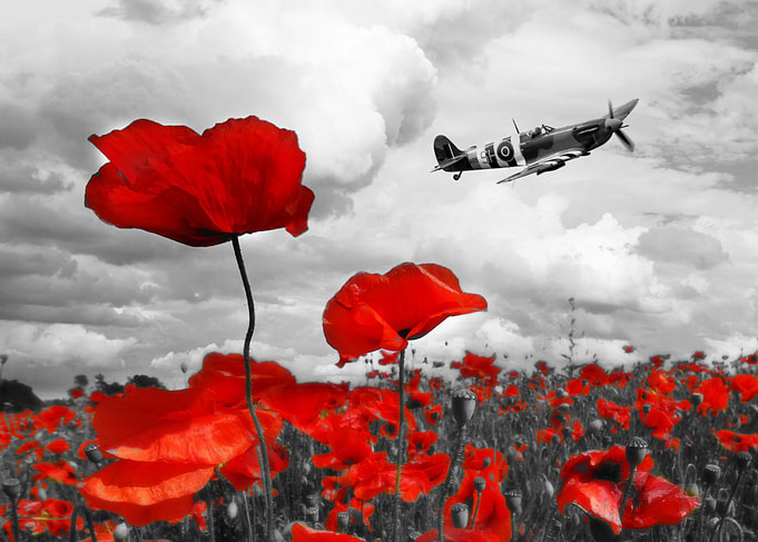 Spitfire AB910 over a poppy field