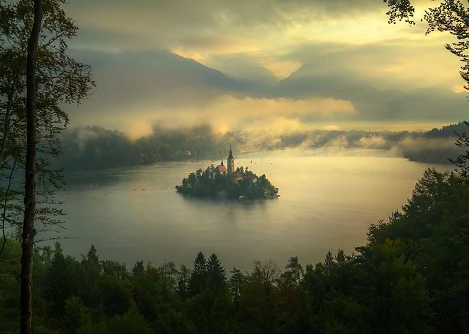 The Dawn