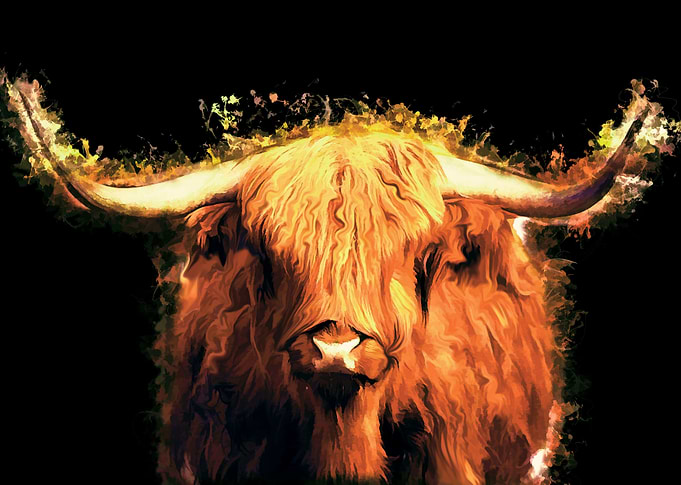 Cow