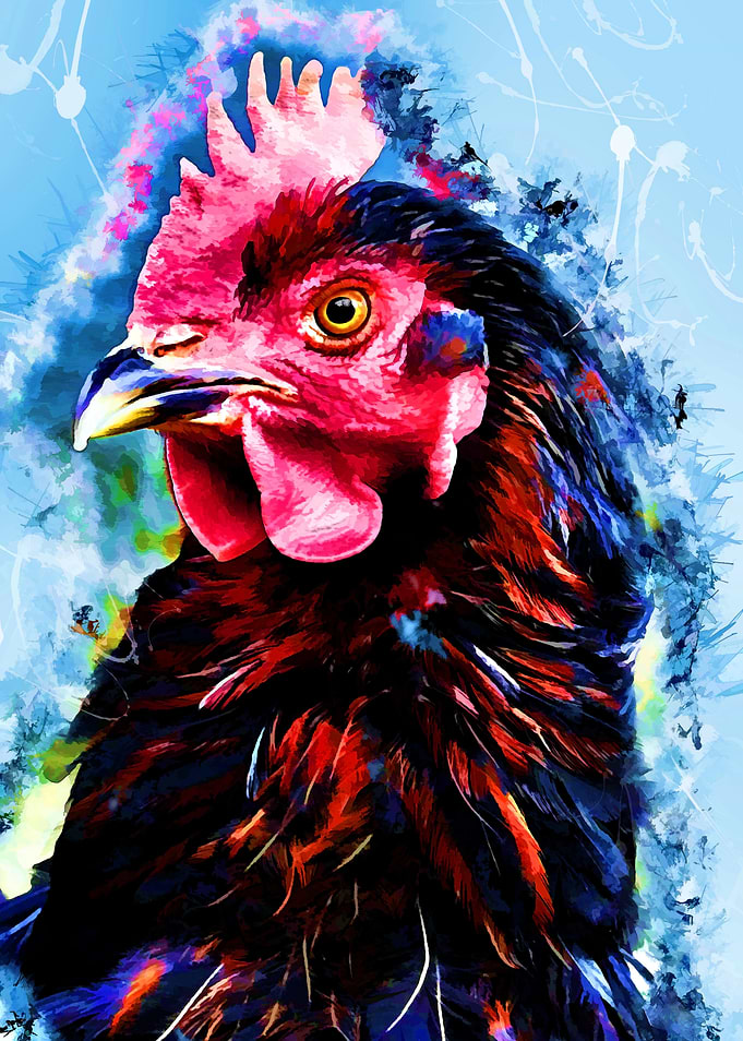 Rooster