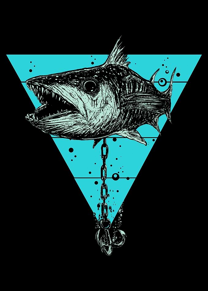 barracuda