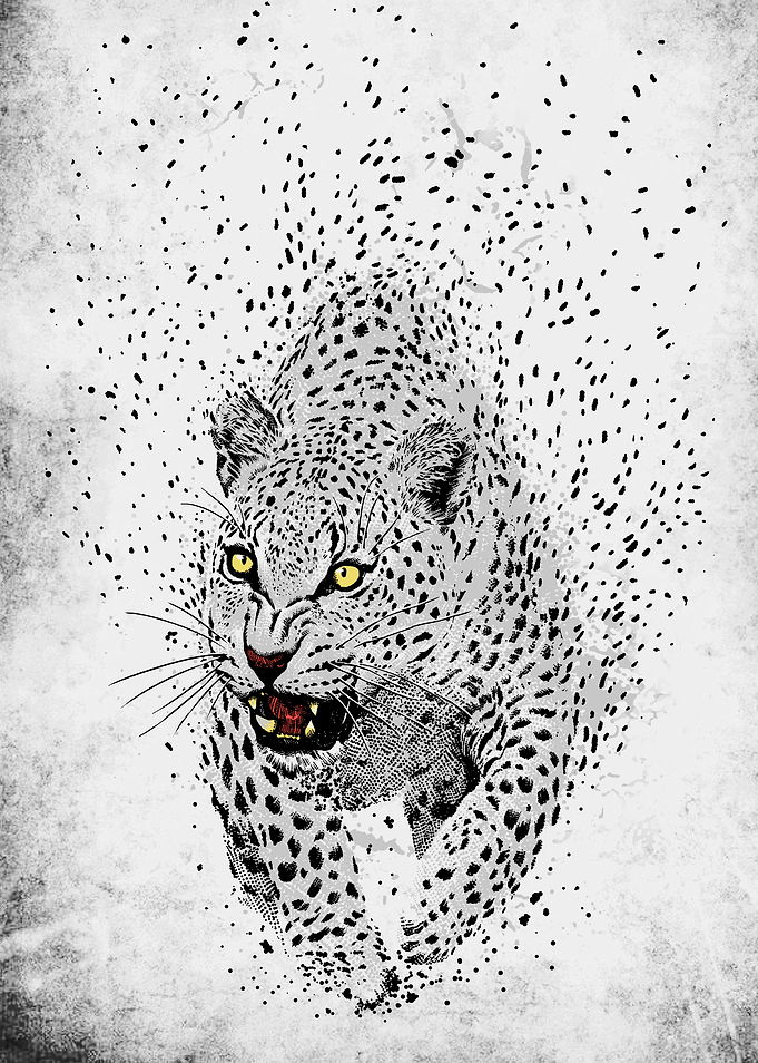 Spots