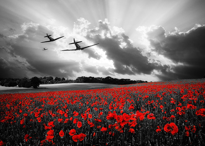 Spitfires over a poppy field